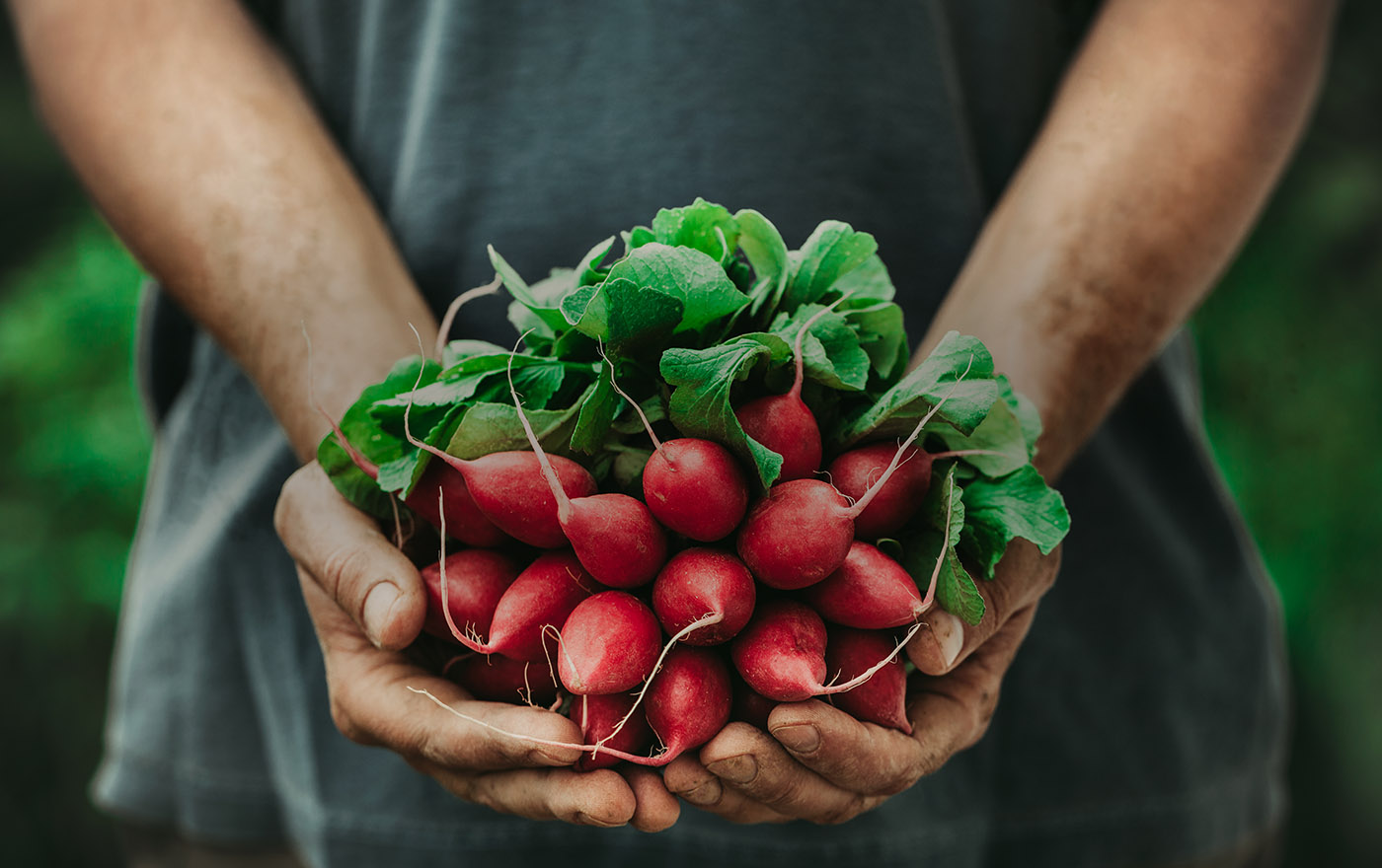 hlk | food_dialogue